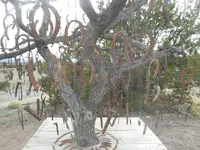 DSCN3217.webp