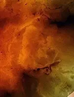 upside down close up.webp