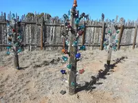 DSCN1566.webp