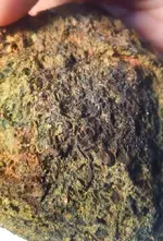 LargeConglomerate-26oz-ClamShapeProfile-Blackish1.webp