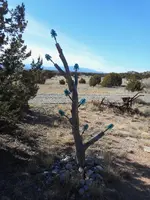 DSCN1551.webp
