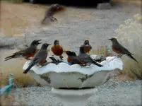 DSCN1807.webp