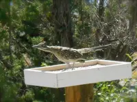 DSCN6166.webp