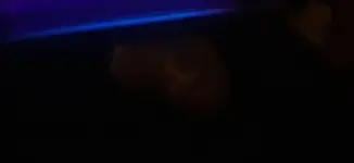 20200923_161421.webp