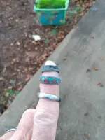 Ringfinger.webp