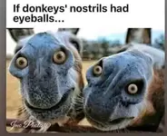 0F369400-F0C1-4929-814F-500A6FE8FDD4.webp