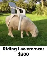 CA05E817-1C8F-4978-9121-F9A611322BE8.webp