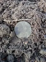 20201128_102248.webp