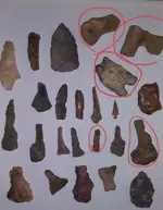 ImageUploadedByTreasureNet.com1608740144.887533.webp