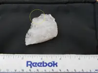 DSCN0037.webp