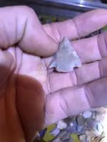 ImageUploadedByTreasureNet.com1611880956.465853.webp ImageUploadedByTreasureNet.com1611880956.465853.webp