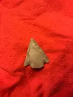 ImageUploadedByTreasureNet.com1611884107.911213.webp