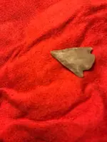 ImageUploadedByTreasureNet.com1611884123.803215.webp