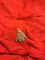 ImageUploadedByTreasureNet.com1611884158.467052.webp
