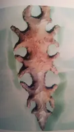 SteveYoungScorpionPiece-Pg25-2011Book-NativeAmericanTrailMarkerTreesByDennisDownes2.webp