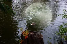 CRW_3074.webp