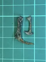 fishing hooks.webp