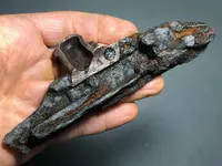 ImageUploadedByTreasureNet.com1613069645.399073.webp