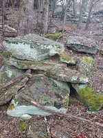 20210206_132721(1).webp