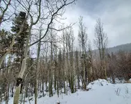 20201224_064530.webp