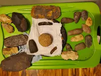 20210117_210208.webp