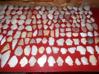 DSCN0002.webp