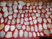 DSCN0004.webp