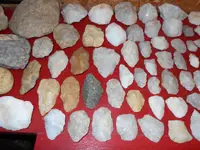 DSCN0005.webp