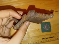 20210117_234753.webp