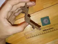 20210117_234810.webp