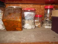 DSCN0008.webp