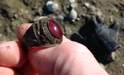 gold ring.webp