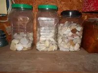 DSCN0007.webp
