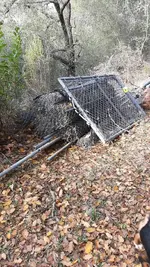 20210110_120618.webp