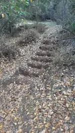 20210110_120603.webp