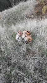 20210110_120358.webp