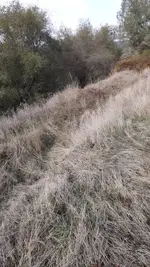 20210110_120338.webp