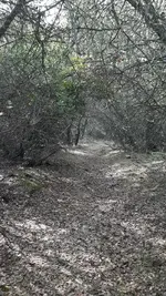 20210110_115218.webp