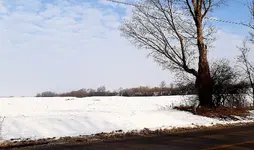 20201211_105344-crop.webp