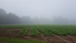 20180729_074455.webp