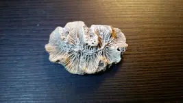 20201223_231948.webp