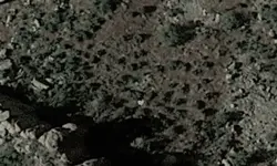 Wagoners lost load.webp