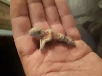 20210130_171318.webp
