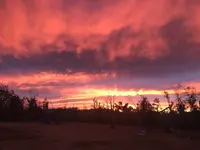 1B4CA074-15C7-4C65-A988-C3B02C698073.webp