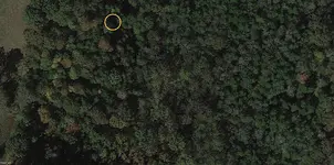 ZoomedInDS1-G.webp
