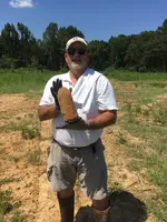 20 LBS Parrot.webp