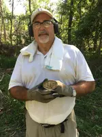 US Buckle.webp