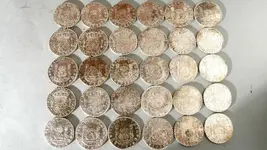 _97423463_coinsderooswijkreaalvan8pillardollarspain1736.webp