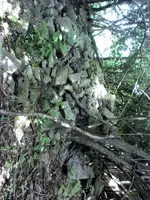 Rock pile at N end of stone house foundation.webp