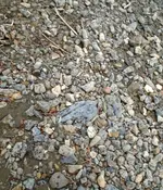 DSC02273 (1).webp